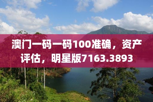 澳门一码一码100准确，资产评估，明星版7163.3893
