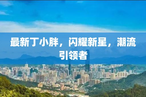 最新丁小胖，闪耀新星，潮流引领者