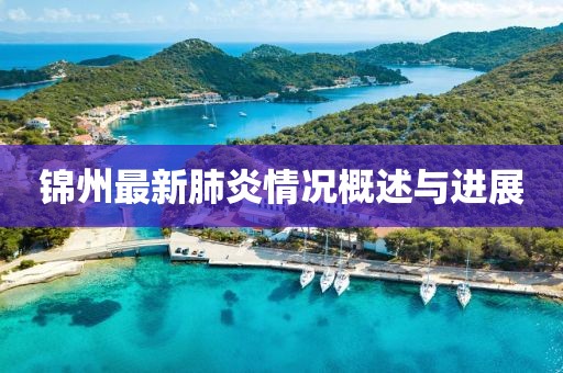 锦州最新肺炎情况概述与进展