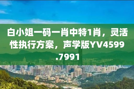 白小姐一码一肖中特1肖，灵活性执行方案，声学版YV4599.7991