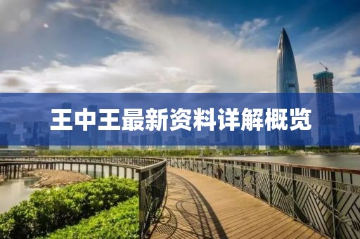 王中王最新资料详解概览