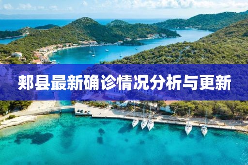 郏县最新确诊情况分析与更新