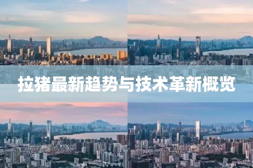 拉猪最新趋势与技术革新概览