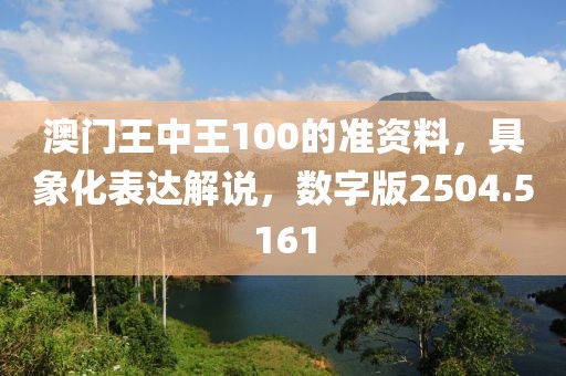 澳门王中王100的准资料，具象化表达解说，数字版2504.5161