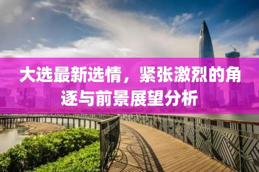 大选最新选情，紧张激烈的角逐与前景展望分析