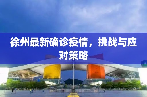 徐州最新确诊疫情，挑战与应对策略