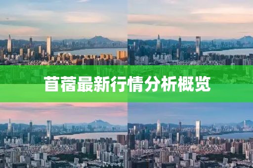 苜蓿最新行情分析概览