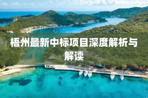 梧州最新中标项目深度解析与解读
