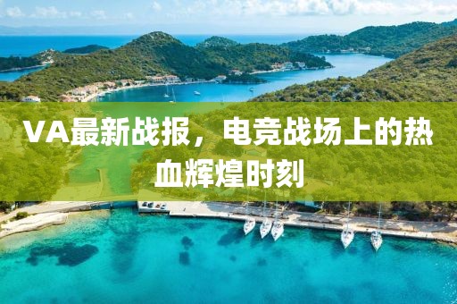 VA最新战报，电竞战场上的热血辉煌时刻