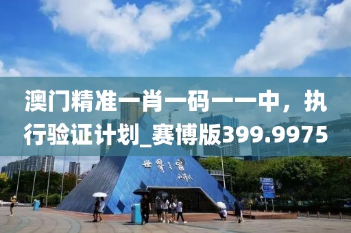 澳门精准一肖一码一一中，执行验证计划_赛博版399.9975