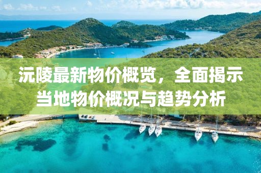沅陵最新物价概览，全面揭示当地物价概况与趋势分析