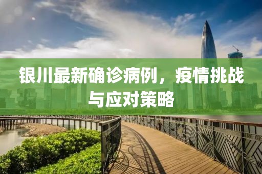 银川最新确诊病例，疫情挑战与应对策略