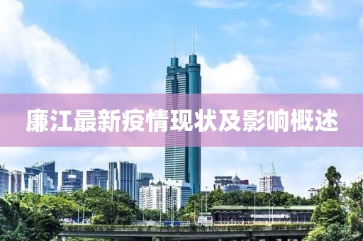 廉江最新疫情现状及影响概述