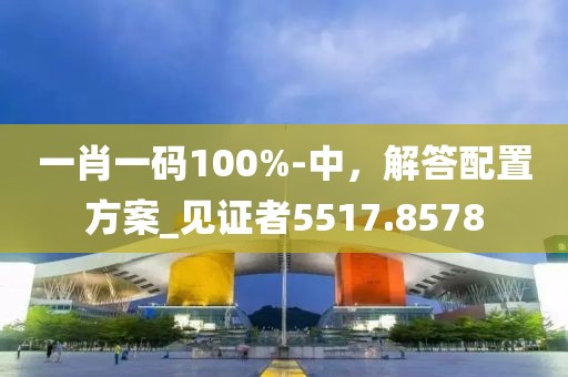 一肖一码100%-中，解答配置方案_见证者5517.8578
