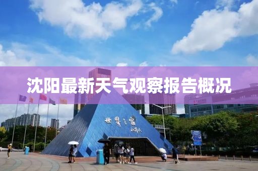 沈阳最新天气观察报告概况