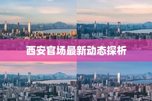 西安官场最新动态探析