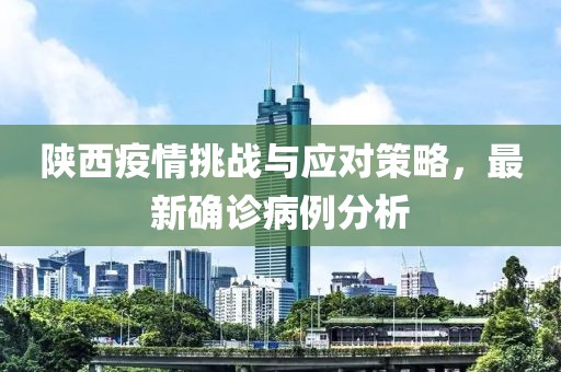 陕西疫情挑战与应对策略，最新确诊病例分析
