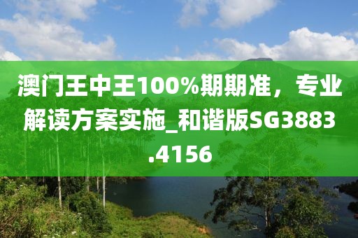 澳门王中王100%期期准，专业解读方案实施_和谐版SG3883.4156