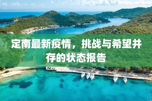 定南最新疫情，挑战与希望并存的状态报告