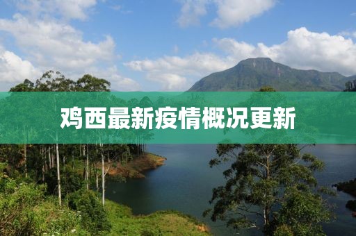 鸡西最新疫情概况更新