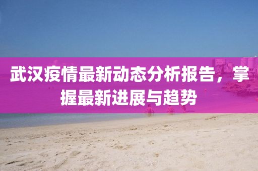 武汉疫情最新动态分析报告，掌握最新进展与趋势