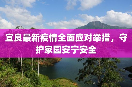 宜良最新疫情全面应对举措，守护家园安宁安全