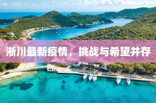 淅川最新疫情，挑战与希望并存