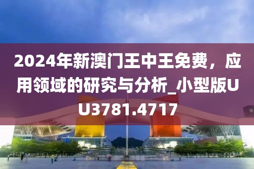2024年新澳门王中王免费，应用领域的研究与分析_小型版UU3781.4717