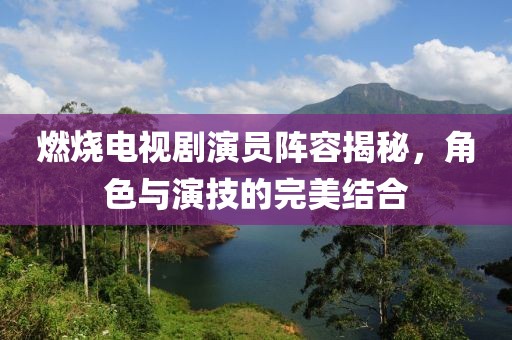 燃烧电视剧演员阵容揭秘，角色与演技的完美结合