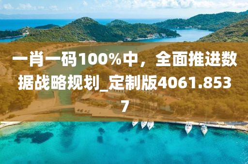 一肖一码100%中，全面推进数据战略规划_定制版4061.8537