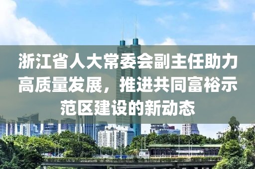 浙江省人大常委会副主任助力高质量发展，推进共同富裕示范区建设的新动态