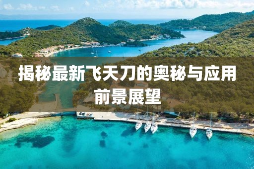 揭秘最新飞天刀的奥秘与应用前景展望