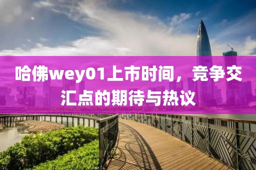 哈佛wey01上市时间，竞争交汇点的期待与热议