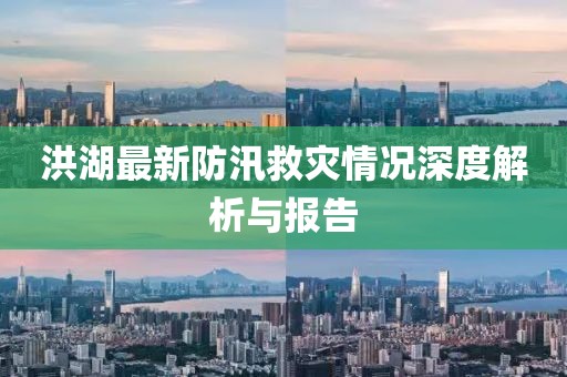 洪湖最新防汛救灾情况深度解析与报告