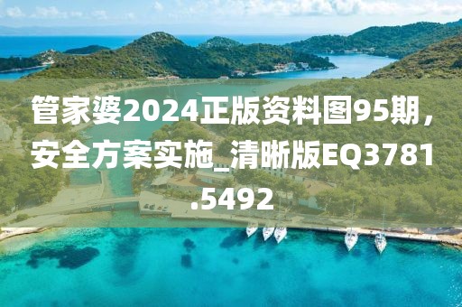 管家婆2024正版资料图95期，安全方案实施_清晰版EQ3781.5492