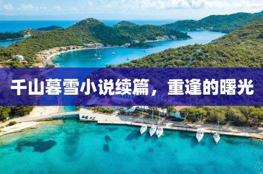 千山暮雪小说续篇，重逢的曙光