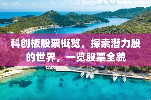 科创板股票概览，探索潜力股的世界，一览股票全貌