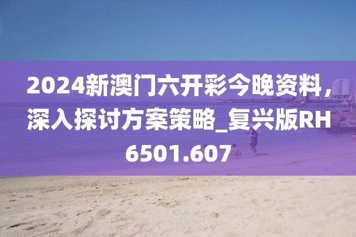 2024新澳门六开彩今晚资料，深入探讨方案策略_复兴版RH6501.607