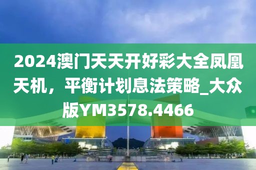 2024澳门天天开好彩大全凤凰天机，平衡计划息法策略_大众版YM3578.4466