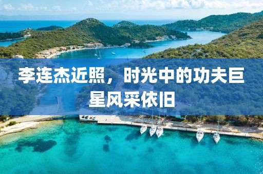 李连杰近照，时光中的功夫巨星风采依旧