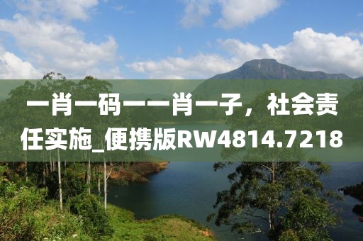 一肖一码一一肖一子，社会责任实施_便携版RW4814.7218