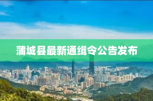 蒲城县最新通缉令公告发布