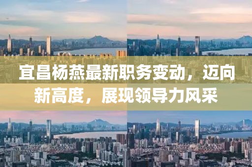 宜昌杨燕最新职务变动，迈向新高度，展现领导力风采