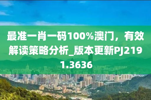 最准一肖一码100%澳门，有效解读策略分析_版本更新PJ2191.3636