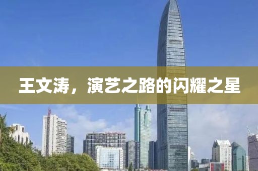 王文涛，演艺之路的闪耀之星