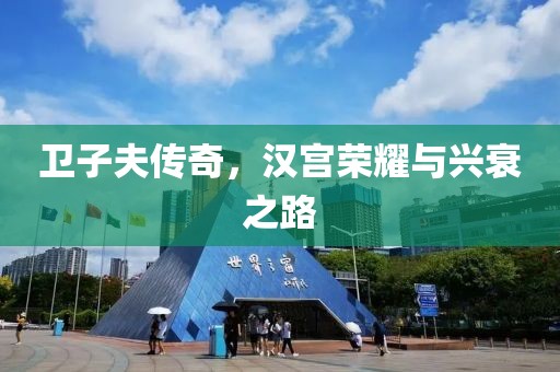 卫子夫传奇，汉宫荣耀与兴衰之路