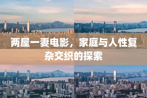 两屋一妻电影，家庭与人性复杂交织的探索