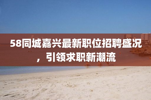 58同城嘉兴最新职位招聘盛况，引领求职新潮流
