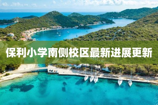 保利小学南侧校区最新进展更新