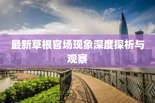 最新草根官场现象深度探析与观察